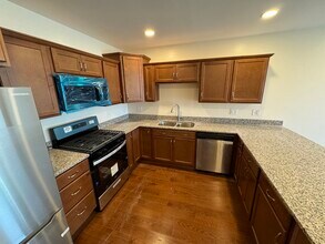 15 Delaware St in Albany, NY - Building Photo - Building Photo
