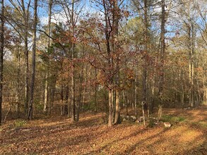 129 Winchester Dr in Sharpsburg, GA - Foto de edificio - Building Photo