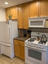 711 Austin St in Evanston, IL - Building Photo - Building Photo