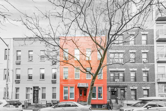 157 DuPont St in Brooklyn, NY - Building Photo - Building Photo