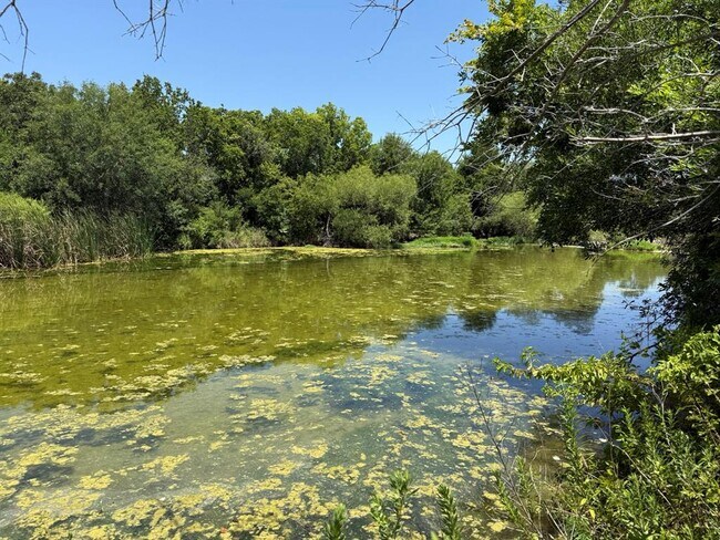 13339 Water Oak Ln in Austin, TX - Building Photo - Building Photo