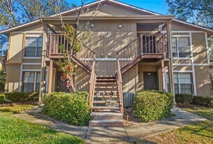 14419 Hanging Moss Cir in Tampa, FL - Building Photo