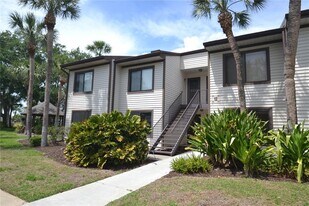 329 Moorings Cove Dr in Tarpon Springs, FL - Building Photo