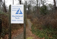 Alquileres en Marblehead, MA