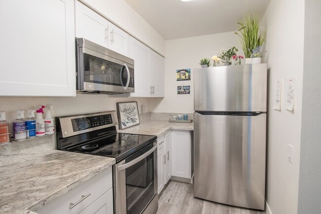 property at 1337 Caminito Gabaldon