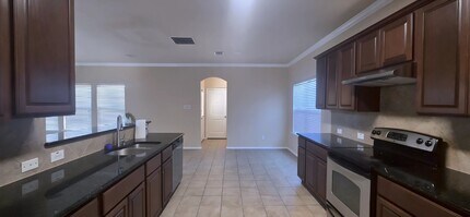 160 Wild Rose Ct in Aubrey, TX - Building Photo - Building Photo