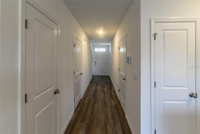 17208 English Chestnut Wy in Land O Lakes, FL - Building Photo - Building Photo