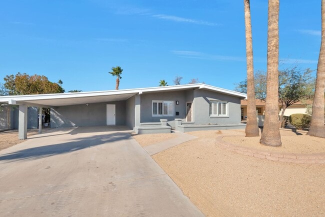 4800 S La Rosa Dr in Tempe, AZ - Building Photo - Building Photo