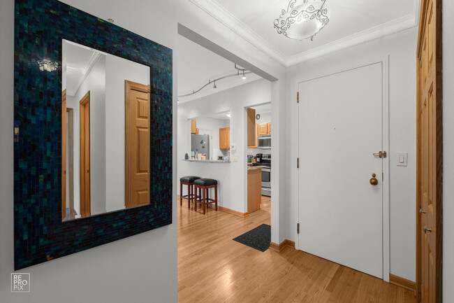 431 S Dearborn St, Unit 13 in Chicago, IL - Building Photo - Building Photo