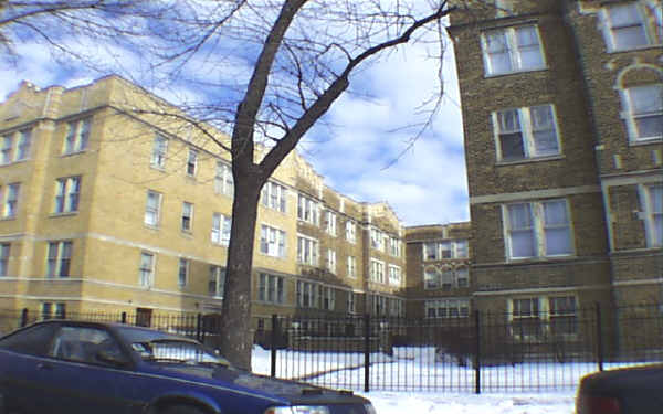 7415-7425 N Damen Ave in Chicago, IL - Building Photo - Building Photo