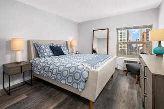 Chestnut Place in Chicago, IL - Foto de edificio - Building Photo