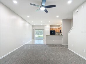 20451 Berrywood Ln in Tampa, FL - Building Photo - Building Photo