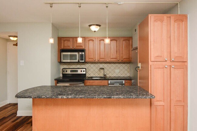 450 W Wellington Ave in Chicago, IL - Foto de edificio - Building Photo