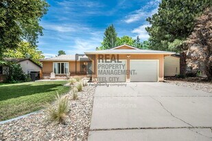 12 Chicory Ct in Pueblo, CO - Building Photo