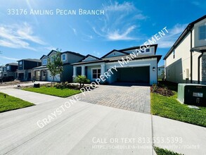 33176 Amling Pecan Br in Wesley Chapel, FL - Building Photo - Building Photo