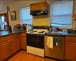 331 Faneuil St, Unit 3 in Boston, MA - Building Photo