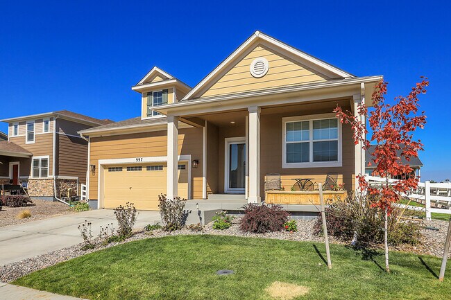 997 Goldenrod Pkwy in Henderson, CO - Building Photo - Building Photo