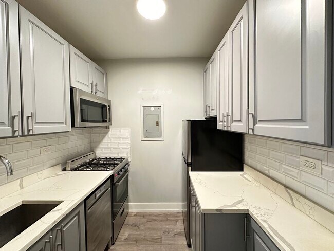 508 W Belmont Ave in Chicago, IL - Building Photo - Building Photo