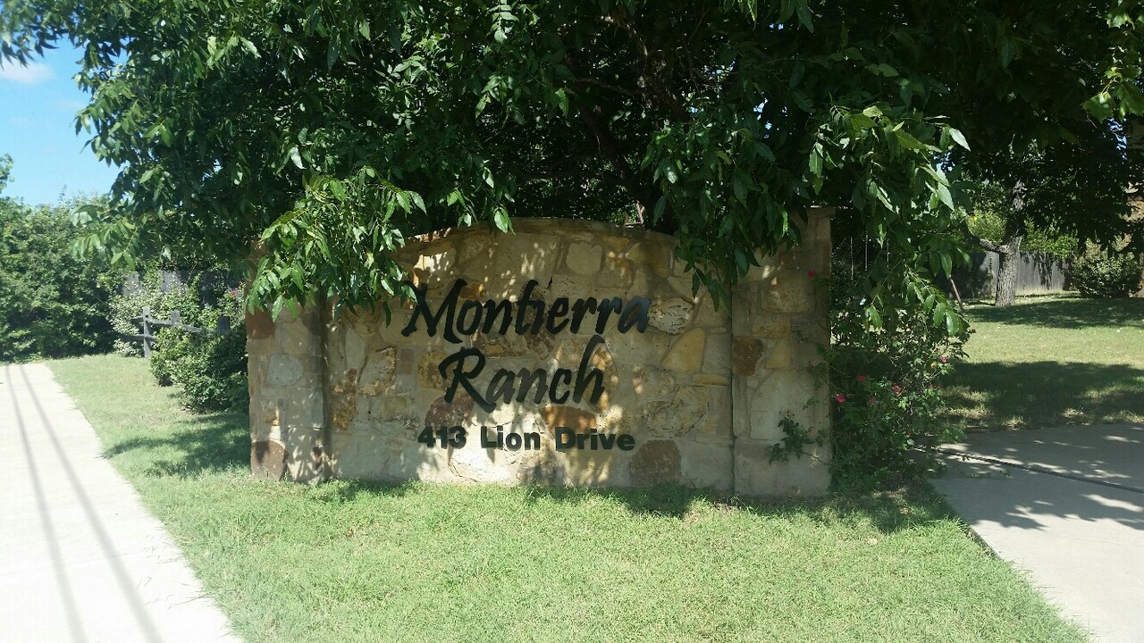 413 Lion Dr, Unit 202 in Leander, TX - Foto de edificio