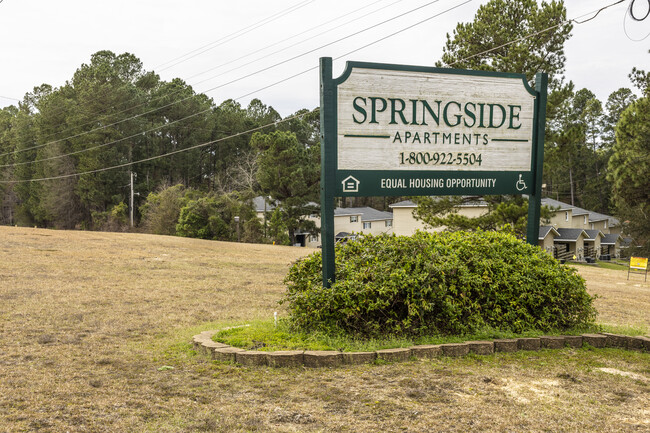 Springside Point and Springside Park