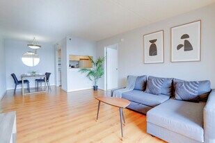 401 12th St S in Arlington, VA - Building Photo