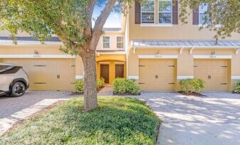 14210 Desert Haven St in Windermere, FL - Building Photo