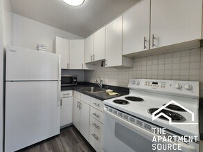 260 E Chestnut St in Chicago, IL - Building Photo - Building Photo