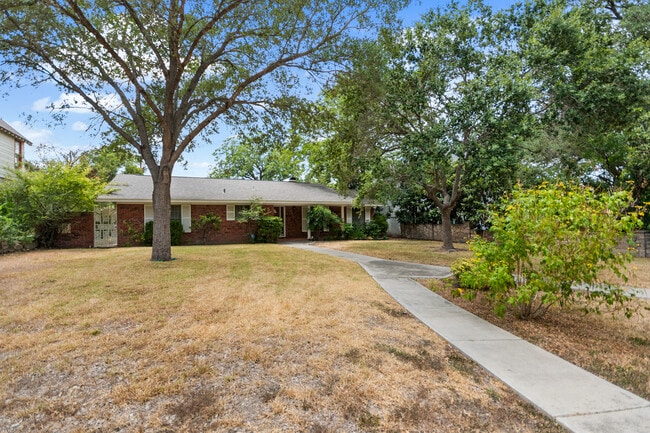 115 Park Dr in San Antonio, TX - Building Photo - Building Photo