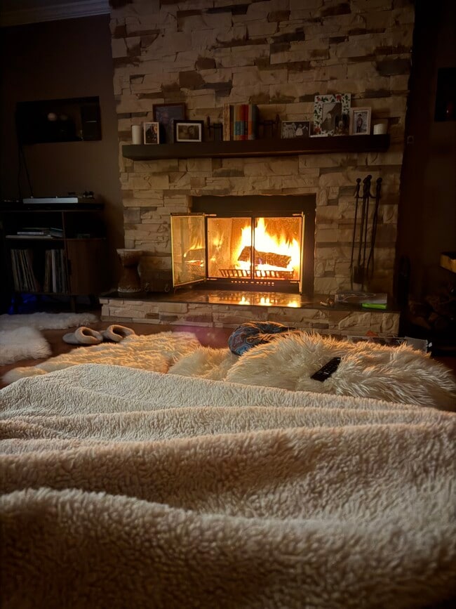 property at 725 Buffalo Cir