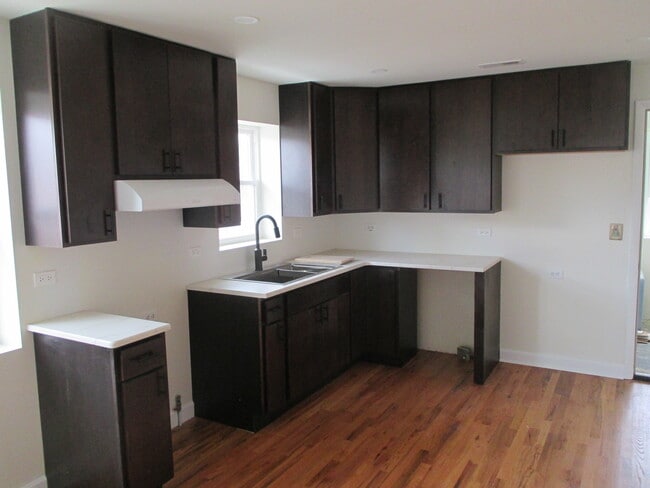 12254 S McDaniels St, Unit #1 in Alsip, IL - Building Photo - Building Photo