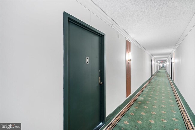 3705 S George Mason Dr in Falls Church, VA - Building Photo - Building Photo