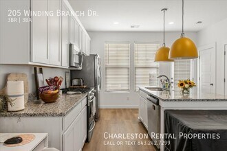 205 Winding Branch Dr in Summerville, SC - Building Photo - Building Photo