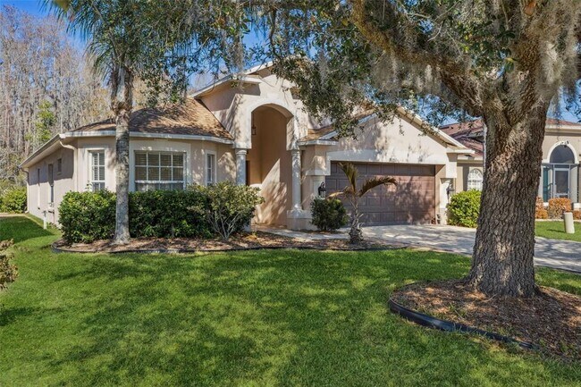 31351 Kirkshire Ct in Wesley Chapel, FL - Building Photo - Building Photo