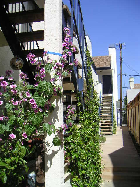 4357 Cleveland Ave, Unit 204 in San Diego, CA - Building Photo - Building Photo