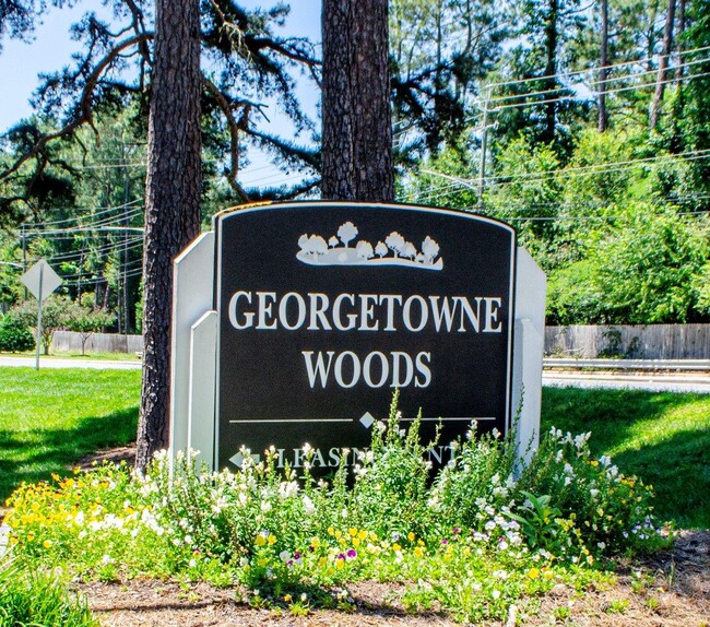 Georgetowne Woods Apartments in Gastonia, NC - Building Photo - Building Photo