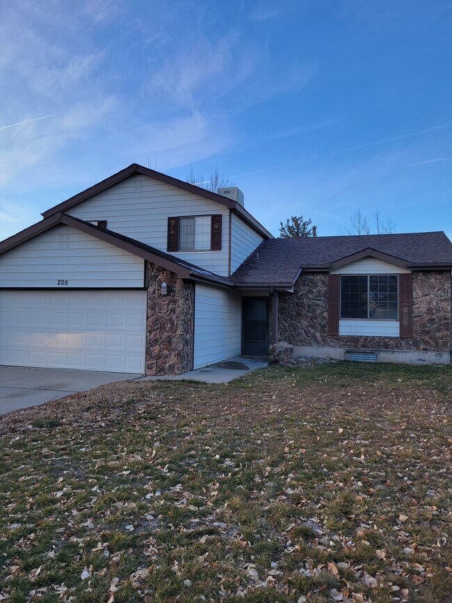 205 Sagemont Cir Rentals in Battlement Mesa, CO