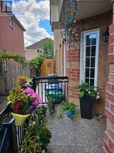 19 Piane Ave in Brampton, ON - Building Photo - Building Photo