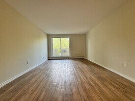 455 Sandys St in Chatham, ON - Building Photo