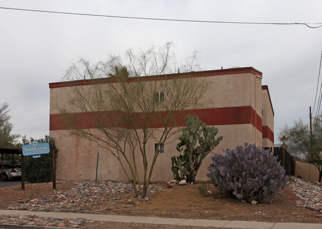 Sunblossom Apartments in Tucson, AZ - Building Photo - Building Photo