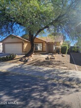 3701 W Cat Balue Dr in Glendale, AZ - Building Photo - Building Photo