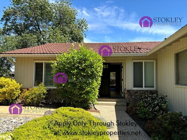 2730 Buena Vista Ave in Walnut Creek, CA - Building Photo - Building Photo