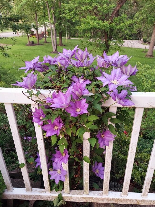 1248 Boettler Rd in Uniontown, OH - Foto de edificio - Building Photo