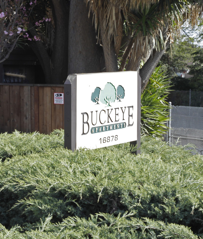 Buckeye Apartments in San Lorenzo, CA - Building Photo - Building Photo