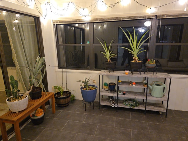 property at 6057 Topher Trail