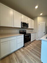 4458 Trader St in Timnath, CO - Building Photo - Building Photo