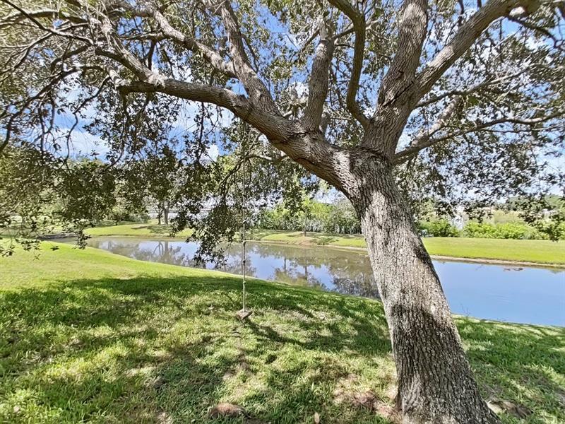 12128 Lake Allen Dr in Largo, FL - Building Photo