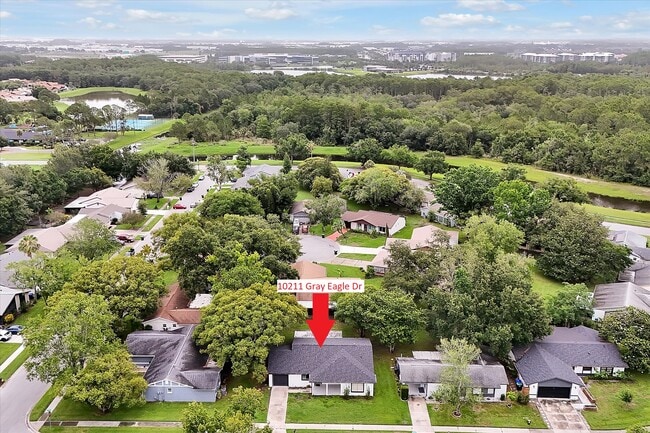 10211 Gray Eagle Dr in Orlando, FL - Building Photo - Building Photo