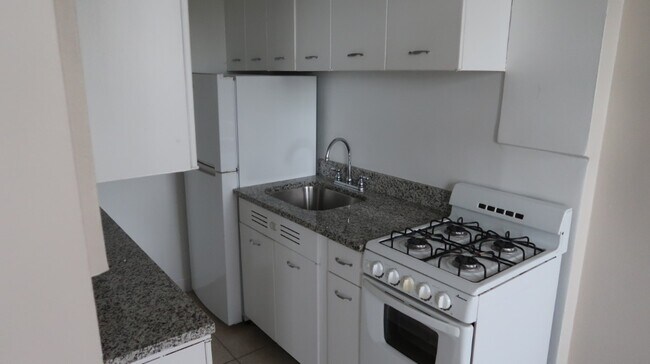 1209 W Sherwin Ave in Chicago, IL - Building Photo - Building Photo