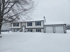 8439 Lace Bark Ln in Liverpool, NY - Building Photo