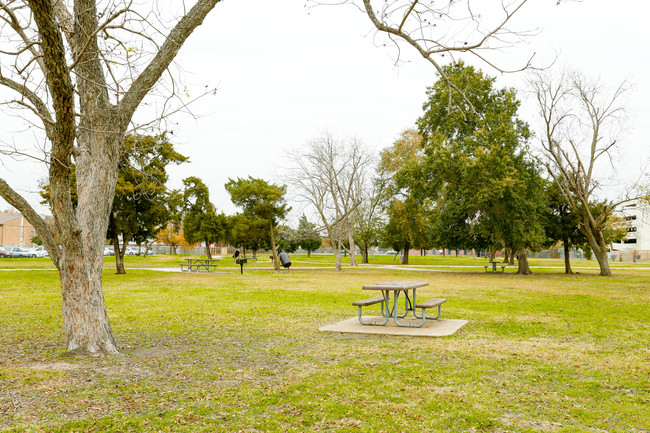 Apartamentos Alquiler en Westwood, TX